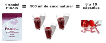 Pilicis Gel Pilicis Gel